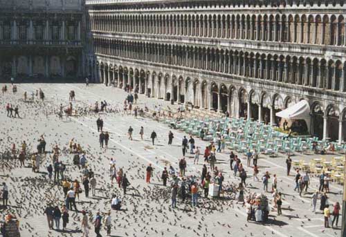 pigeons and people in St. Marks square