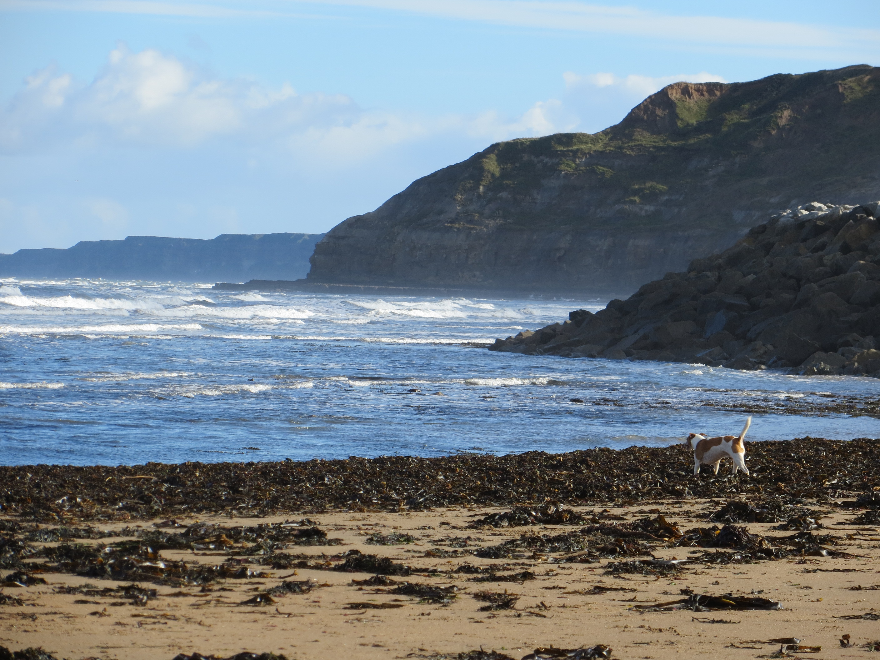Scarborough 2016 South bay