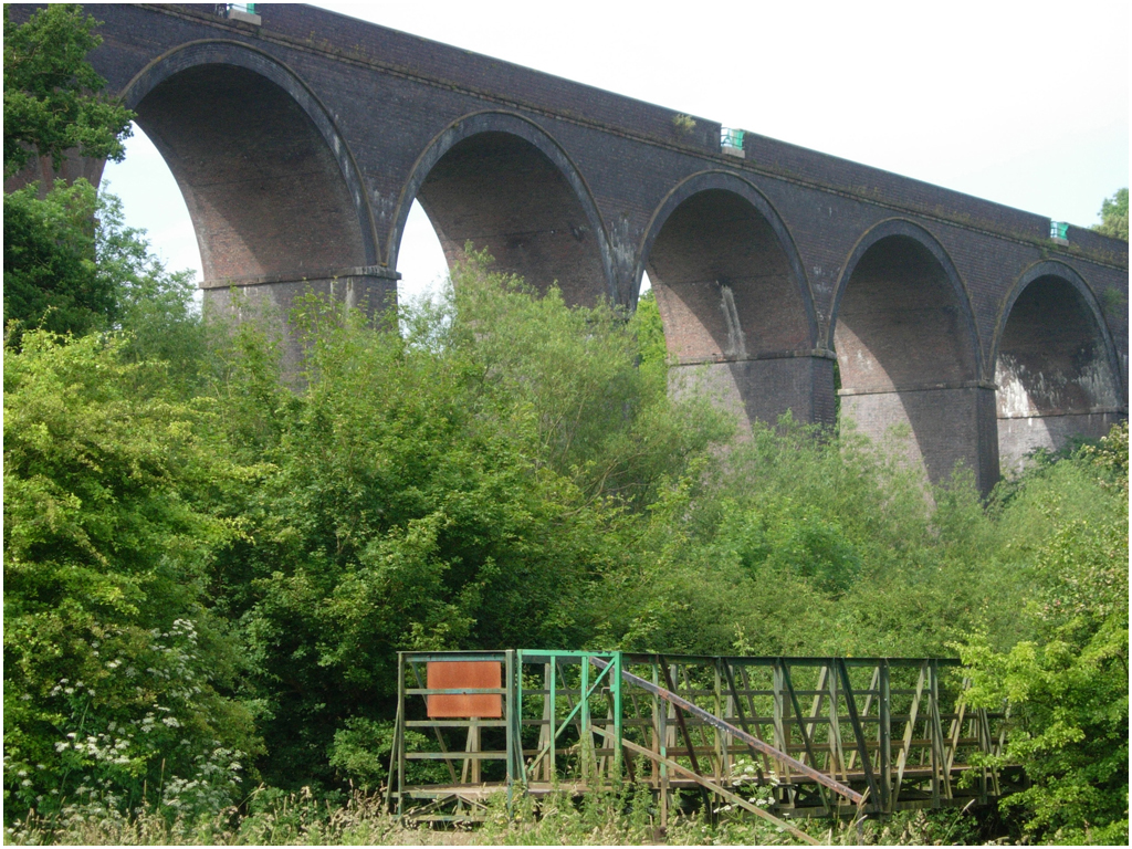 Eleven arches