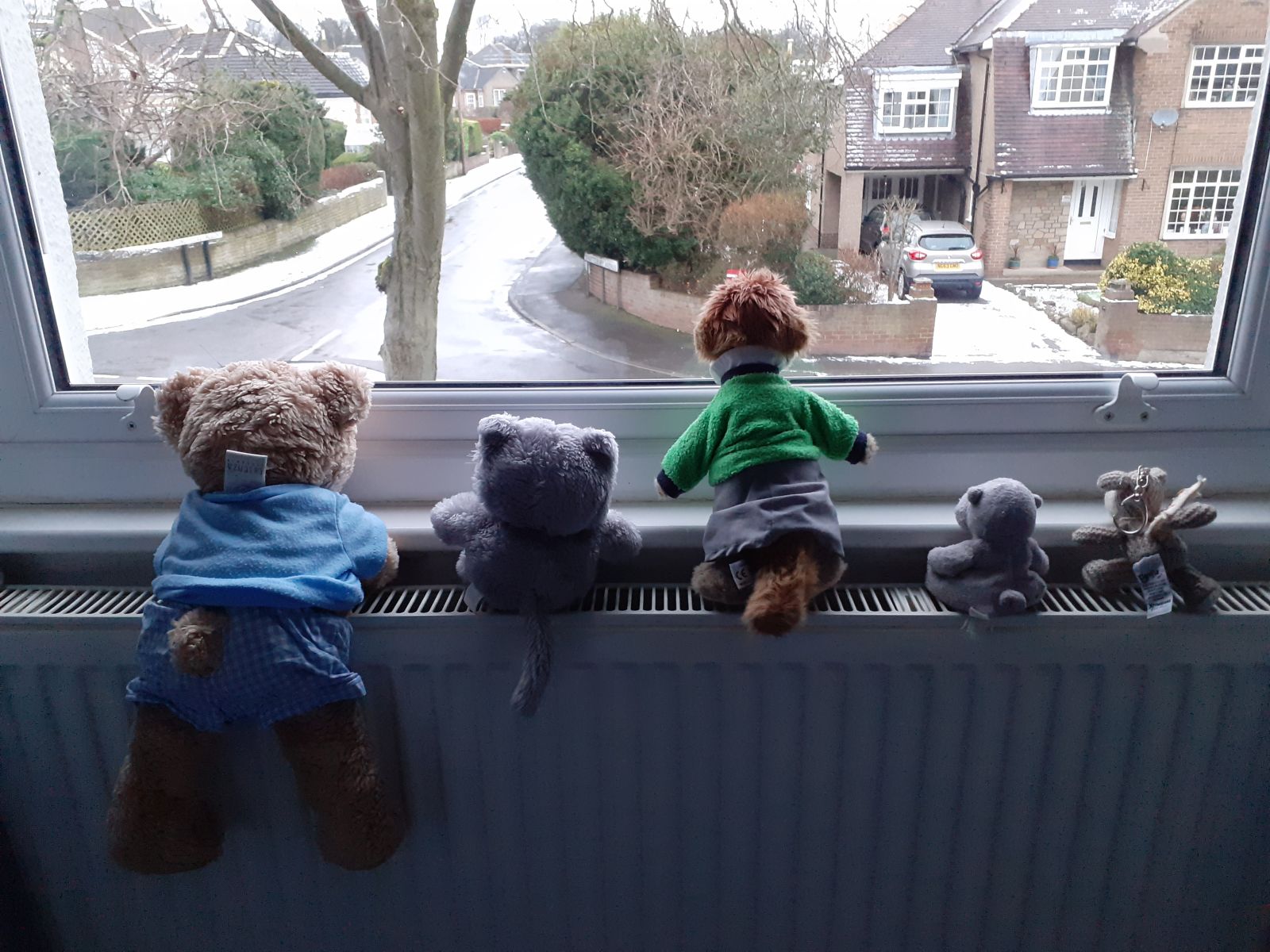 can you see anything