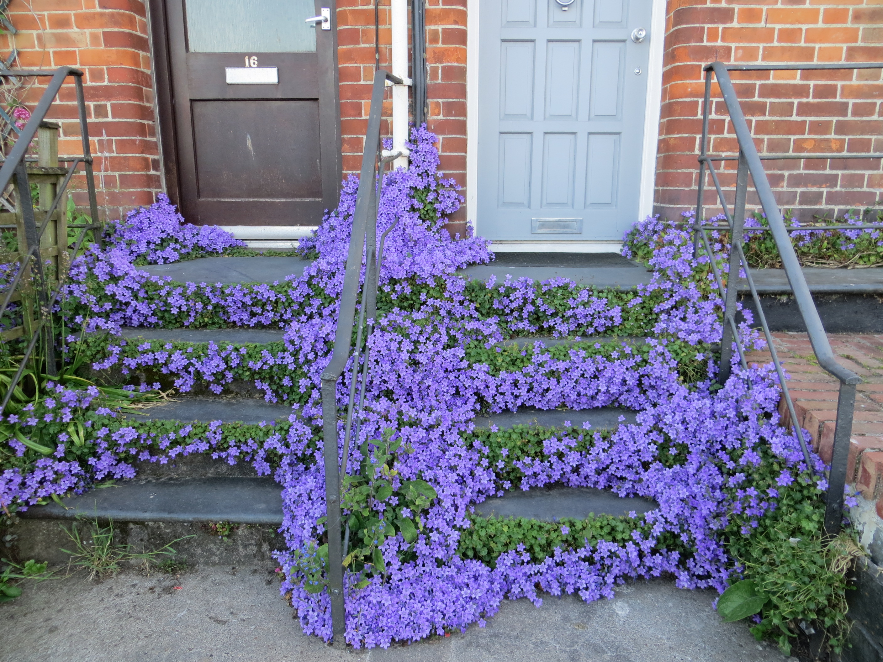 pretty doorsteps